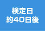 検定日約40日後