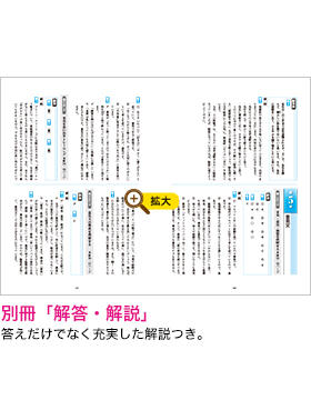 別冊「解答・解説」