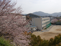 写真2：学校の様子