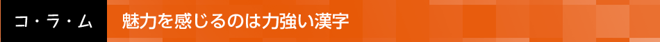 魅力を感じるのは力強い漢字