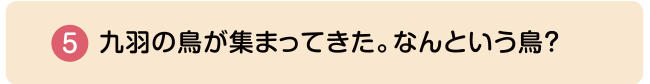 ⑤九羽の鳥が集まってきた。なんという鳥？
