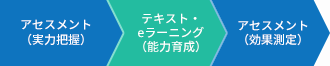 アセスメント(実力把握) > テキスト・eラーニング(能力育成) > アセスメント(効果測定)